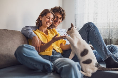 Pareja con Gato