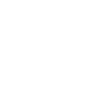 Social Icon